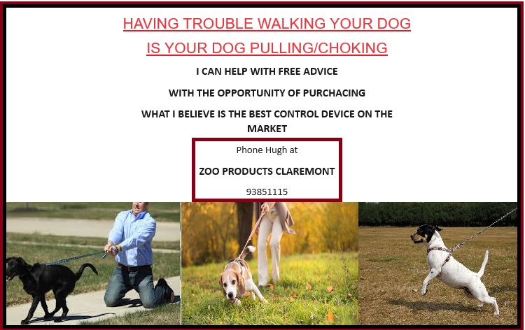 HAVING TROUBLE WALKING YOUR DOG IS YOUR DOG PULLING/CHOKING 