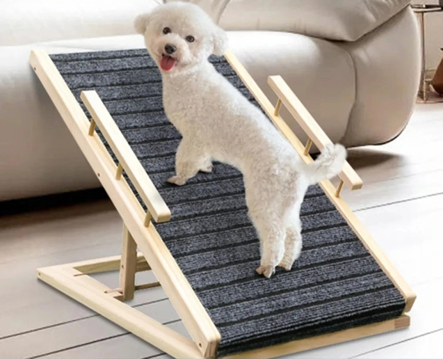 DOG RAMP